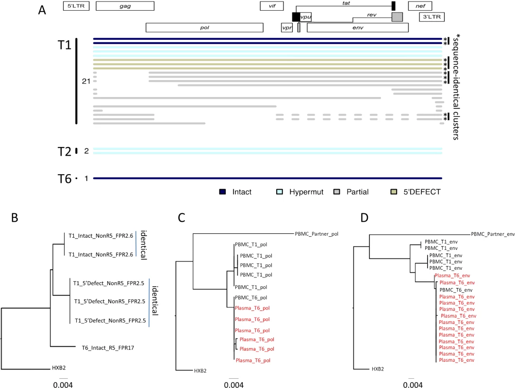 Single-genome, near full-length HIV-1 sequencing in the patient.