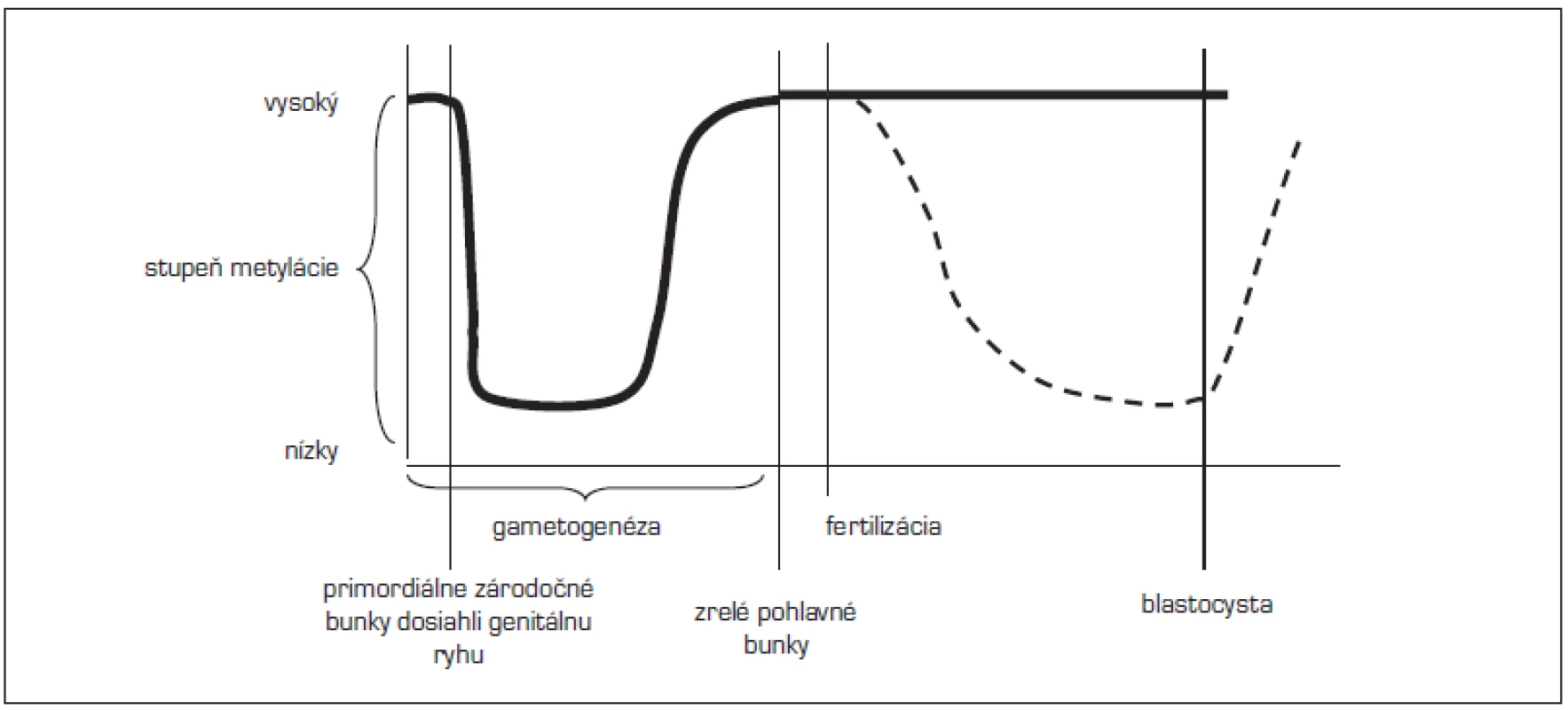 Načasovanie epigenetických znakov (upravené podľa Lucifero, 2004).
&lt;em&gt;(Po obdobie fertilizácie sa metylujú imprintované gény i ostatný genóm približne rovnako, po fertilizácii zostávajú imprintované gény chránené od demetylácie – hrubá čiara, kým ostatný genóm sa demetyluje a znovu metyluje – prerušovaná čiara)&lt;/em&gt;