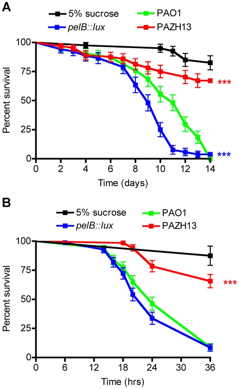 Kaplan-Meier survival curves post <i>P. aeruginosa</i> infection.