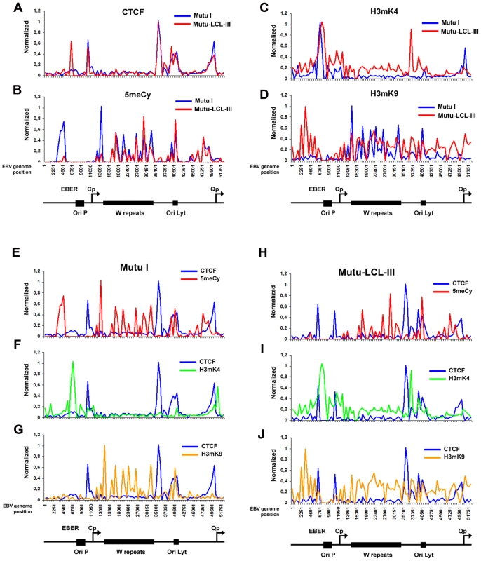 Analysis of epigenetic patterns in the EBV latency control region.