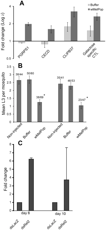 Immune gene expression and challenges with <i>Brugia pahangi</i> in <i>Ae. aegypti</i> somatically infected with <i>w</i>MelPop, and effects of immune knockdown on <i>Wolbachia</i> density.