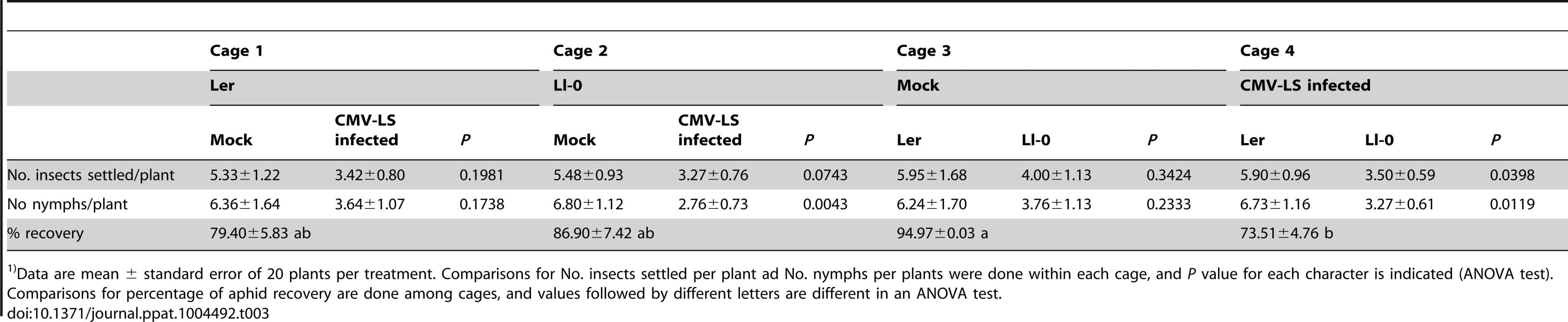 <i>Myzus persicae</i> adults and nymphs recovered 24 h post release on two different genotypes of <i>Arabidopsis</i><em class=&quot;ref&quot;>1)</em>.