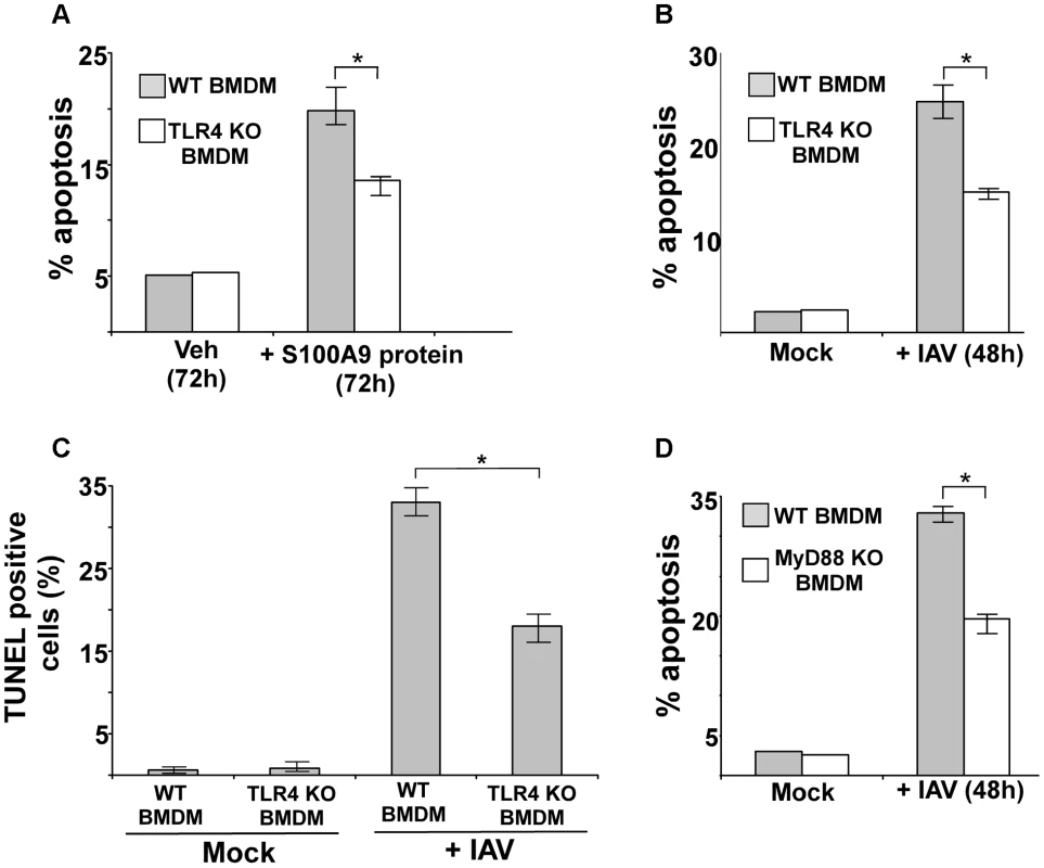 Activated TLR4/MyD88 pathway promotes S100A9-mediated apoptosis and is required for optimal apoptosis of IAV infected cells.