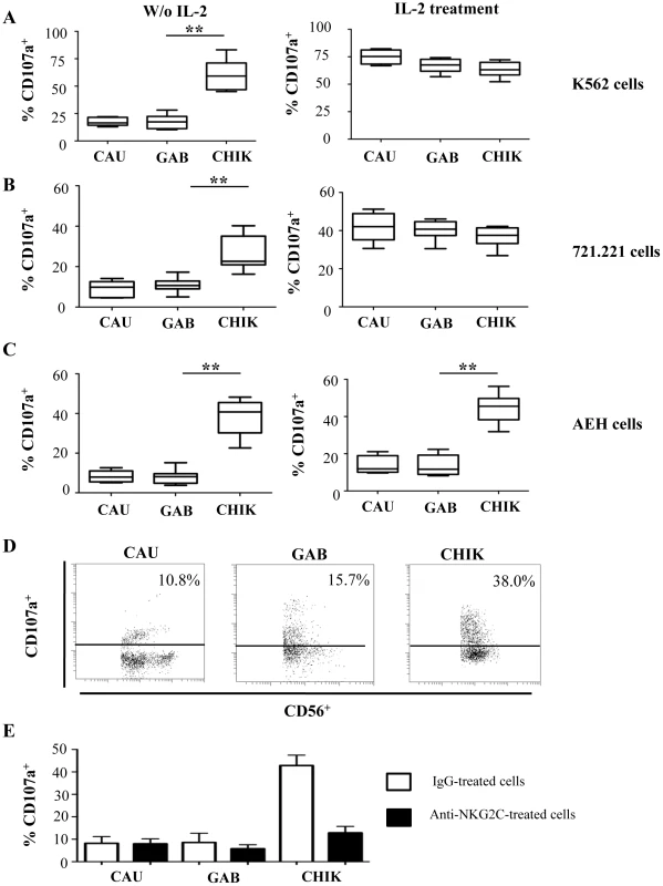 Robust degranulation efficacy of NK cells from CHIKV-infected patients against HLA-E<sup>+</sup> target cells.