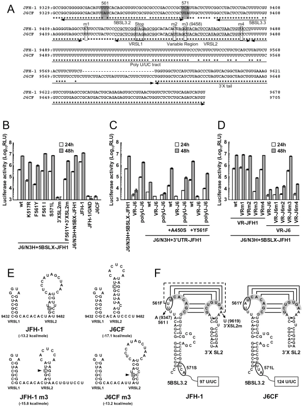 Replication activity of J6CF-based replicons containing variants or substitutions.