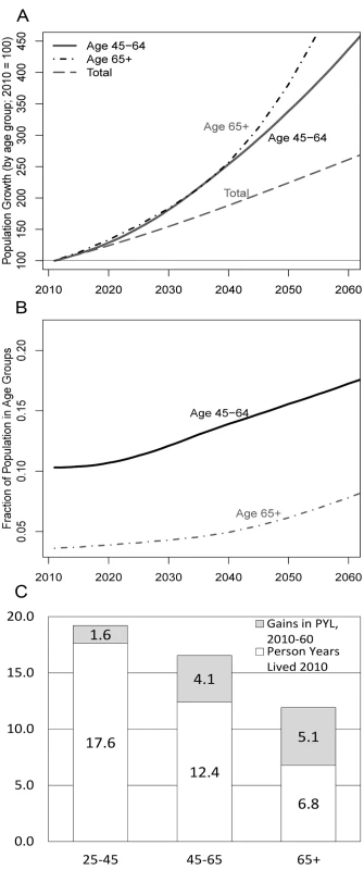 Population growth by age group in SSA 2010–2060, share of total population by age groups, and person-years lived by age group.
