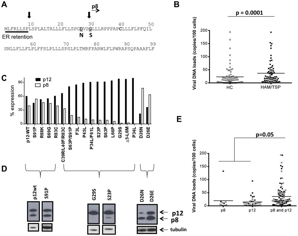 Analysis of <i>orf-I</i> from the PBMCs of HTLV-1 infected individuals.