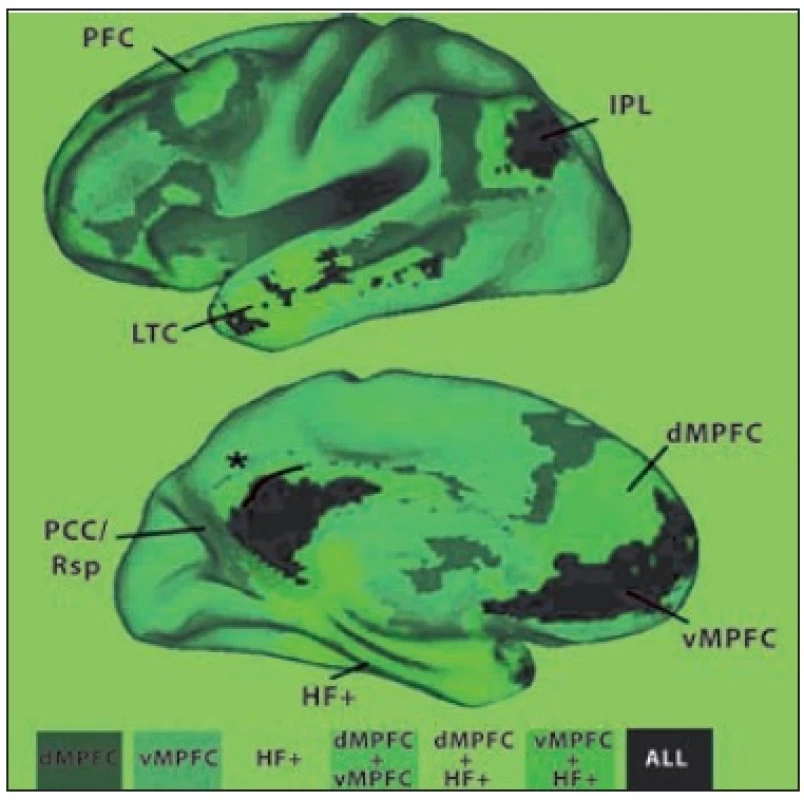 Těžiště („náby“, angl.hubs) a barevně vyznačené podsystémy implicitní sítě lidského mozku.
Třemi těžišti jsou dorsomediální prefrontální kůra (dMPFC), ventromediální prefrontální kůra (vMPFC) a hipokampální formace (HF+). Kombinovaná mapa je velmi blízká mapě získané PET
Zadní cingulární a retrosplenická kůra (PCC/Rsp), lobulus parietalis inferior (IPL) a vMPFC jsou korové oblasti, v nichž se sbíhají spoje všech ostatních oblastí sítě.
dMPFC a HF + jsou funkčně korelované s ostatními oblastmi sítě, nikoli však vzájemně. Patří tedy patrně k odlišným podsystémům.
Area 7m (označená hvězdičkou), která je součástí precuneu, součást intrinsické sítě není.
LTC je zevní spánková kůra.
ALL všechny
Dle Buckner et al. (4).