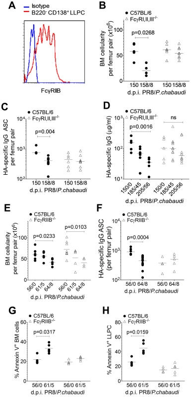 Loss of pre-existing humoral immunity to Influenza A virus is dependent on FcγRIIB.