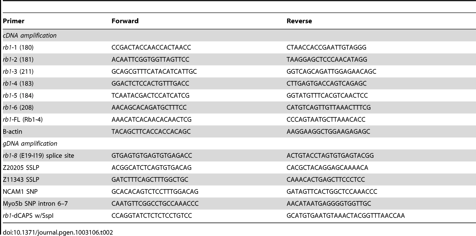 PCR primers for recombination mapping, molecular cloning, and genotyping of &lt;i&gt;rb1&lt;sup&gt;te226a&lt;/sup&gt;&lt;/i&gt;.