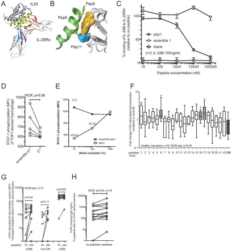 Design of antagonistic peptides against IL-28 receptor alpha subunit (IL28RA) and their effects on H1N1-stimulated B-cell functions.