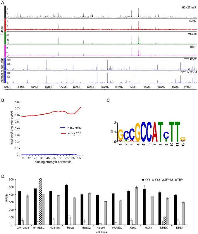 YY1 is not involved in Polycomb silencing in human cells.