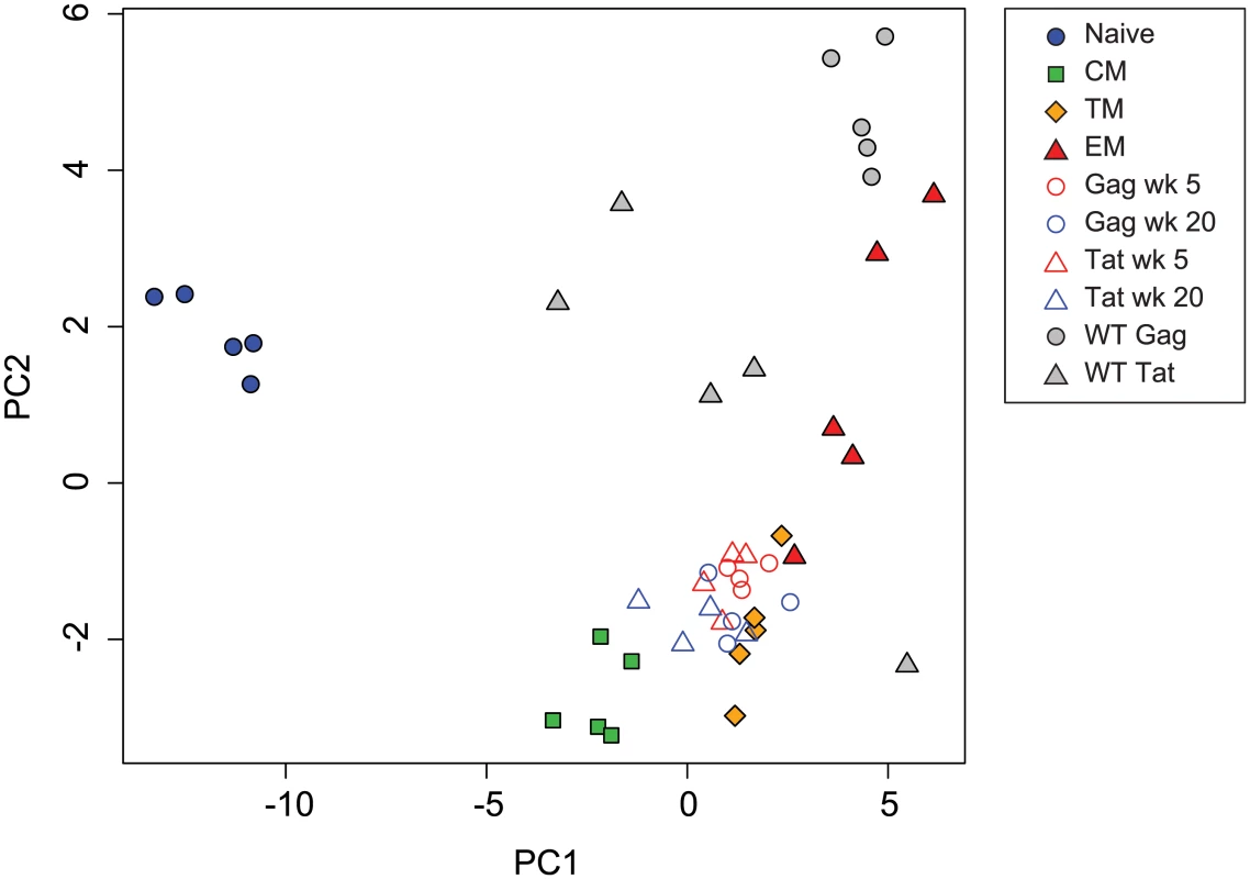 Principal component analysis of transcription factor expression profiles from SIV-specific MHC tetramer-sorted CD8<sup>+</sup> T cells from animals vaccinated with SIVΔnef, animals infected with wild-type SIV, and sorted CD8<sup>+</sup> T cell subsets.