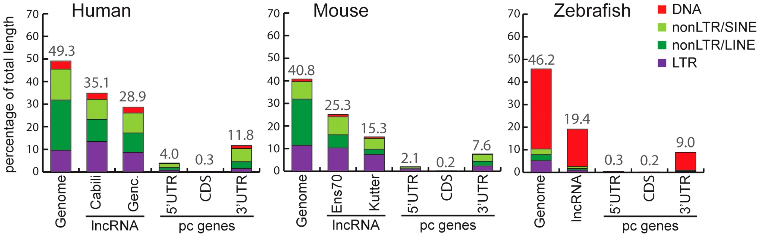 Coverage of different TE classes in genome, lncRNA, and protein-coding exons in human, mouse, and zebrafish.
