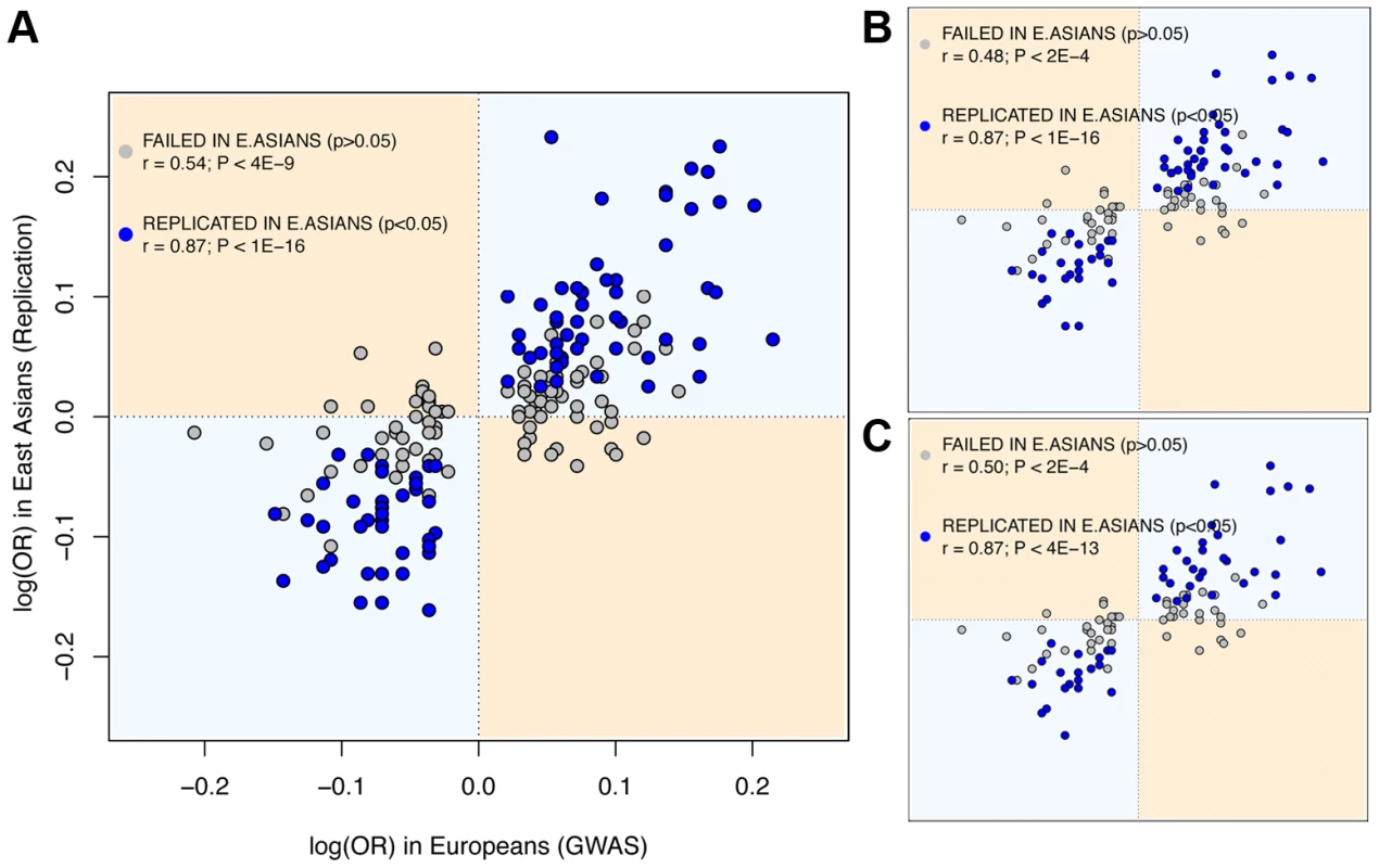 East Asian GWAS find the same risk allele and similar log(OR) than European discovery GWAS.