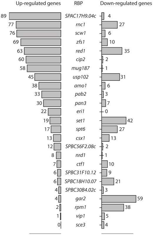 RNA-binding proteins whose inactivation causes changes in RNA levels.