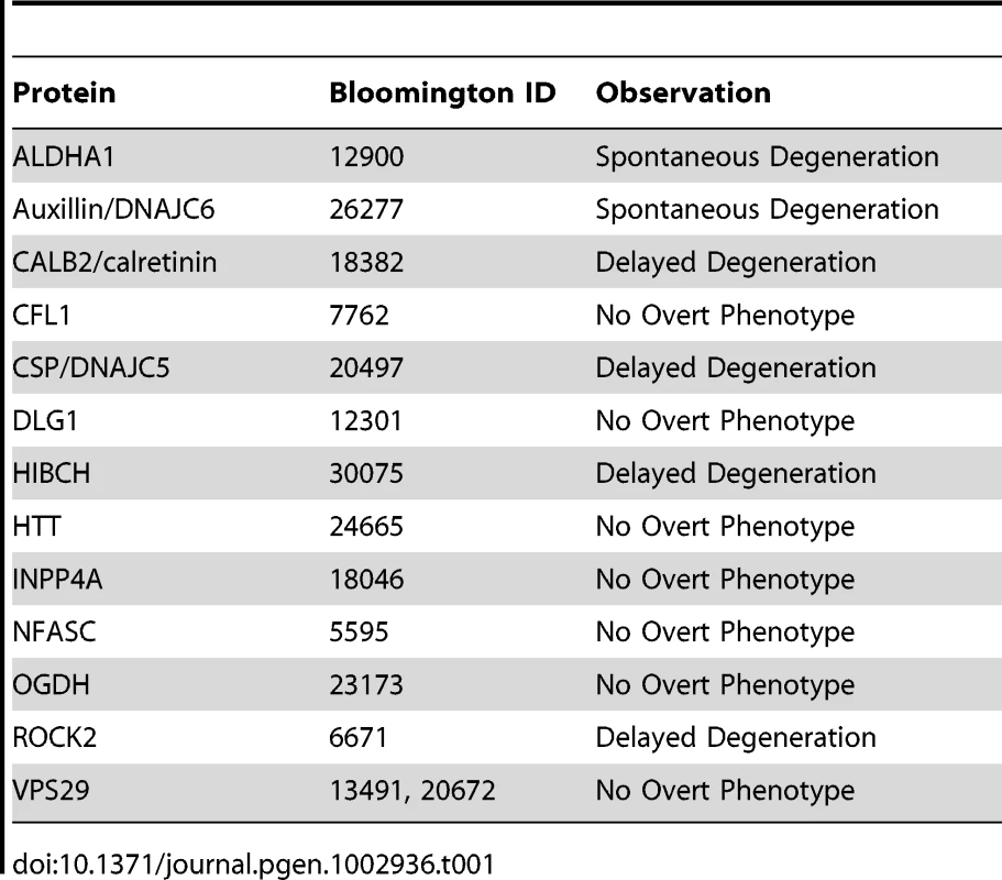 List of viable &lt;i&gt;Drosophila&lt;/i&gt; lines tested in the current study.