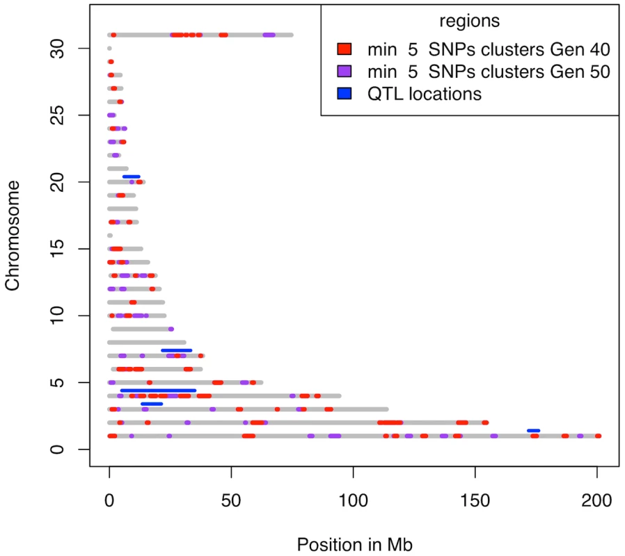 Clusters with at least 5 SNPs fixed for different alleles in the two lines.