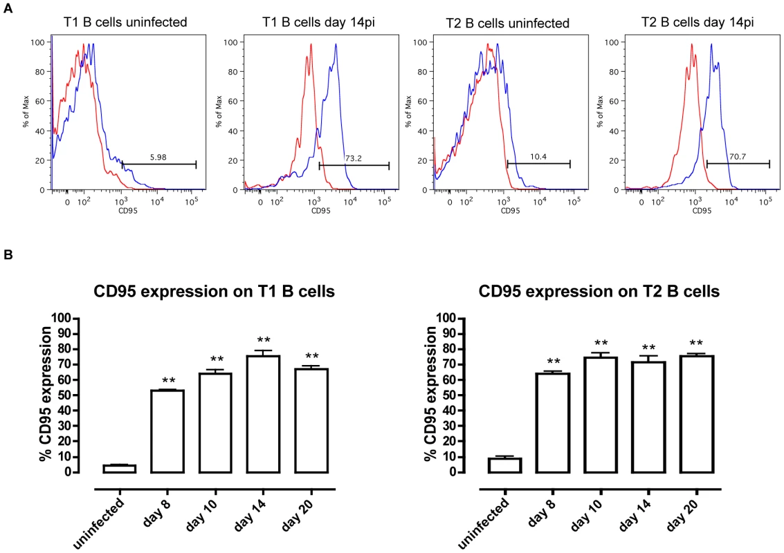 CD95 (Fas) expression on T1 and T2 transitional B cells.