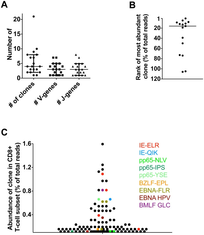 Latent phase anti-hCMV and EBV responses in healthy persons.