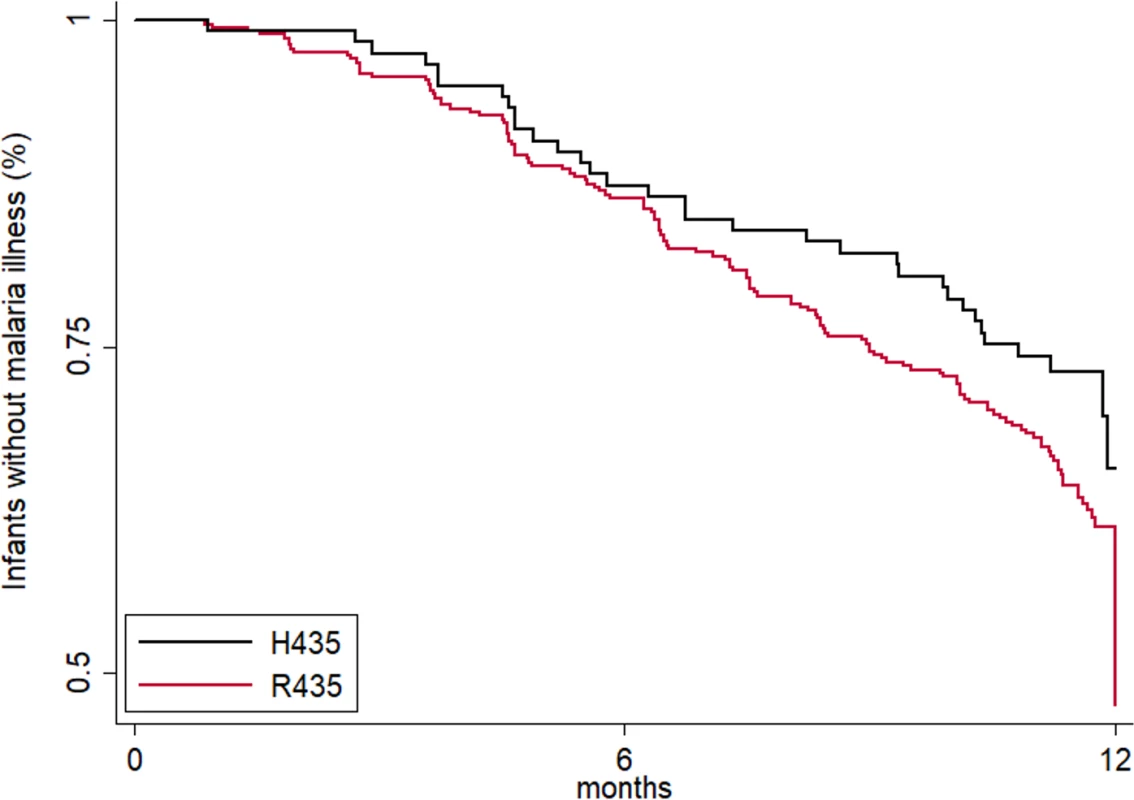 Maternal IgG3-H435 polymorphism is associated with a decreased risk of symptomatic malaria in infants from birth to 12 months of age.