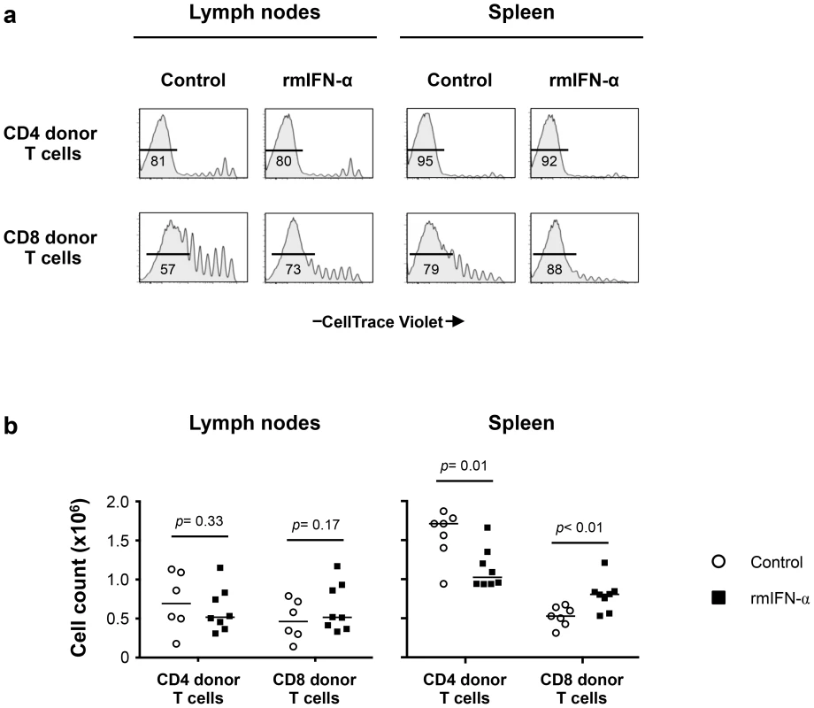 Continuous exposure to Type-I IFN under lymphopenic conditions leads to CD4 T cell depletion and CD8 T cell expansion.