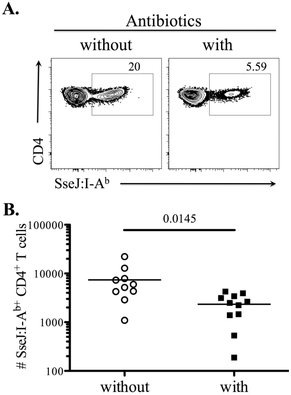 Bacterial persistence is required for optimal expansion of SseJ-specific CD4 T cells.