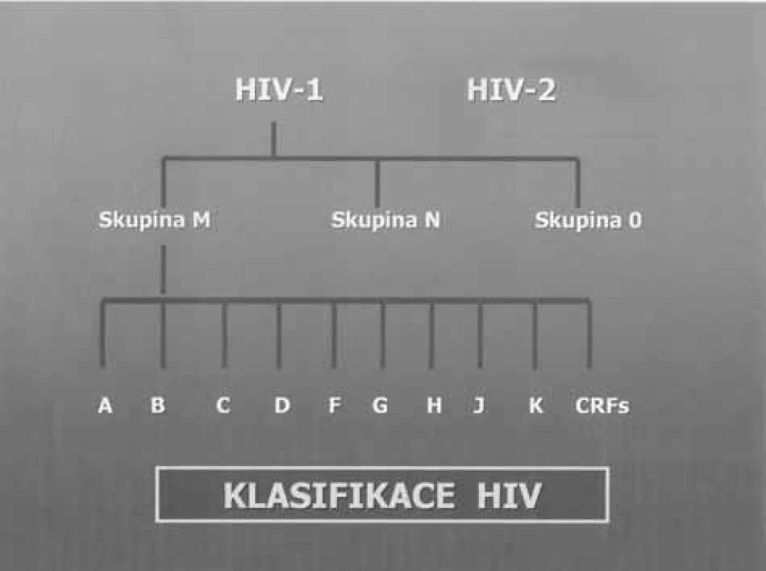 Subtypy HIV-1 a HIV-2
Fig. 2. Subtypes HIV-1 and HIV-2
