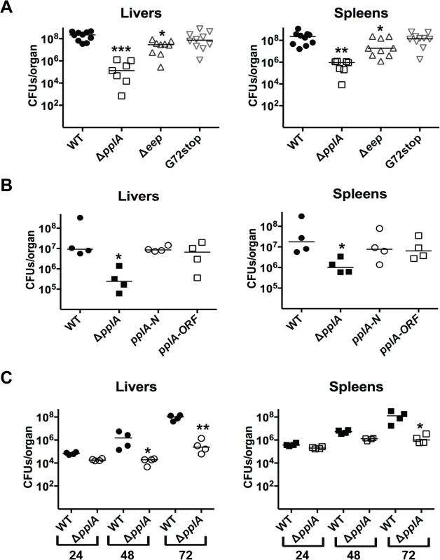 pPplA significantly contributes to bacterial virulence <i>in vivo</i>.