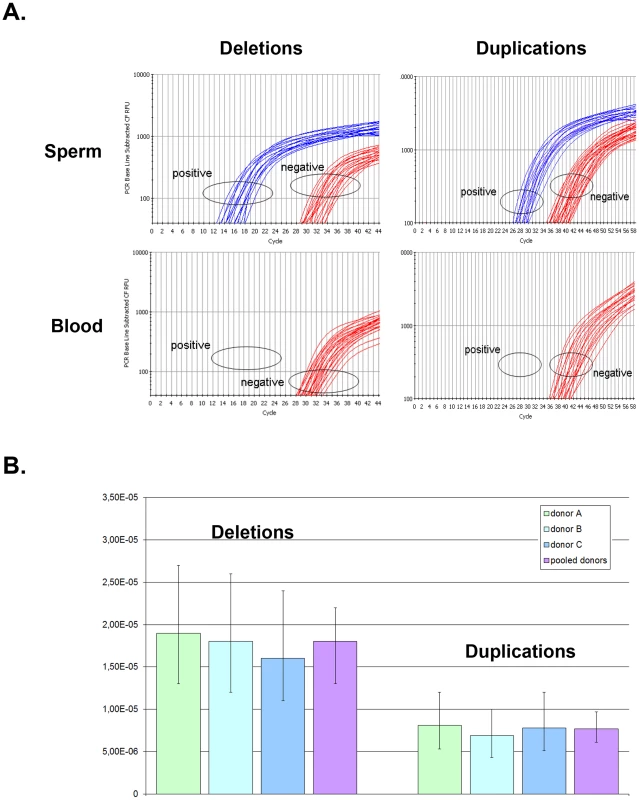 Rate of <i>de novo</i> deletion and duplication events occurring at the <i>DPY19L2</i> NAHR hotspot determined by digital PCR on sperm from 3 control donors.