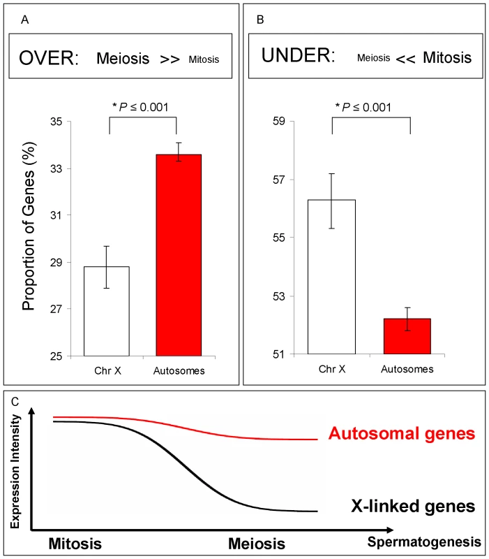 Spermatogenic gene expression for X-linked and autosome-linked genes.
