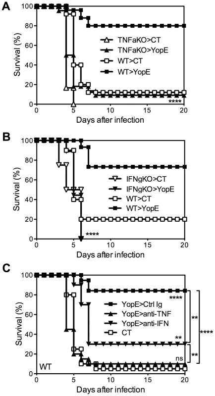TNFα and IFNγ are critical for T cell-mediated protection against <i>Y. pestis</i>.