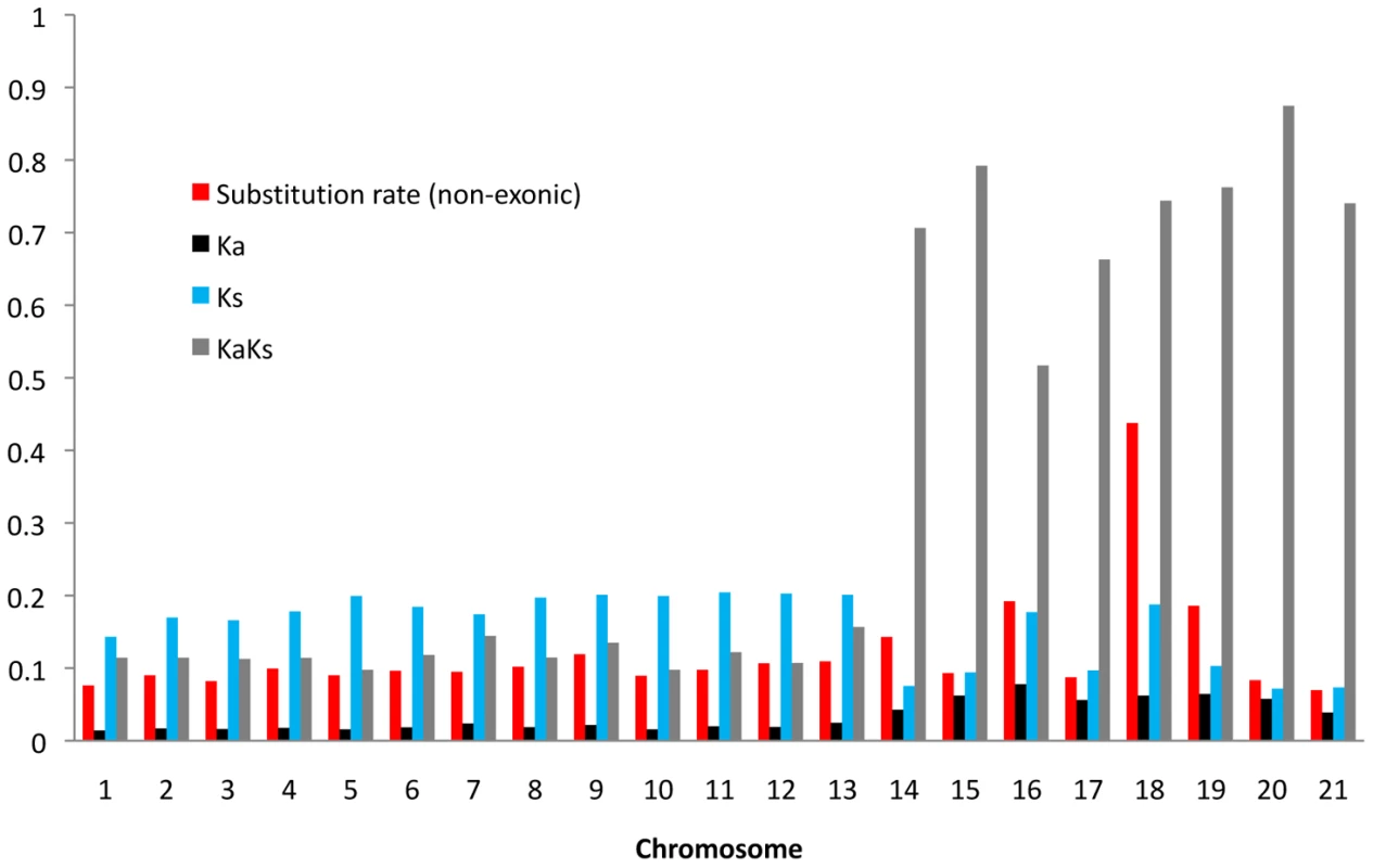 Average substitution rates in non-exonic sequences and average Ka/Ks ratio, Ka, and Ks for all aligned gene.