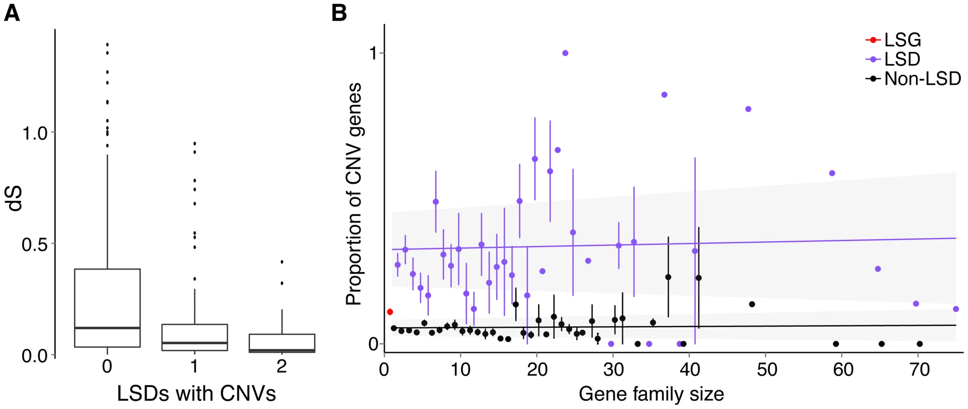 Relationship between gene duplications and CNVs.