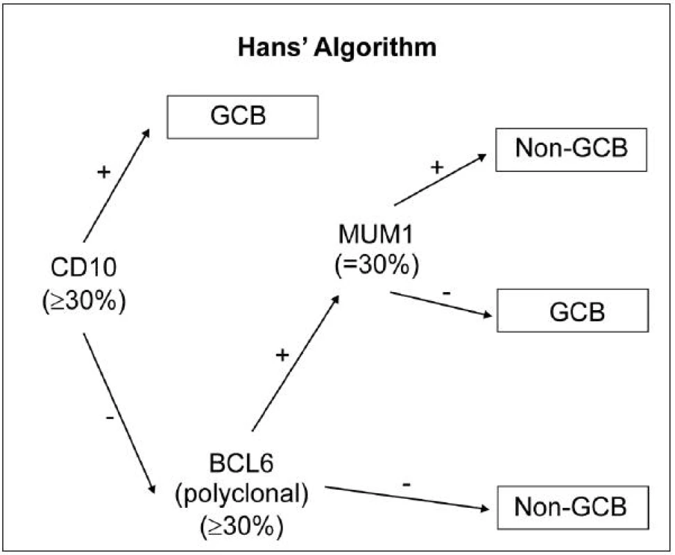 Rozdělení subtypů DLBCL pomocí IHC: algoritmus dle Hansové (44).