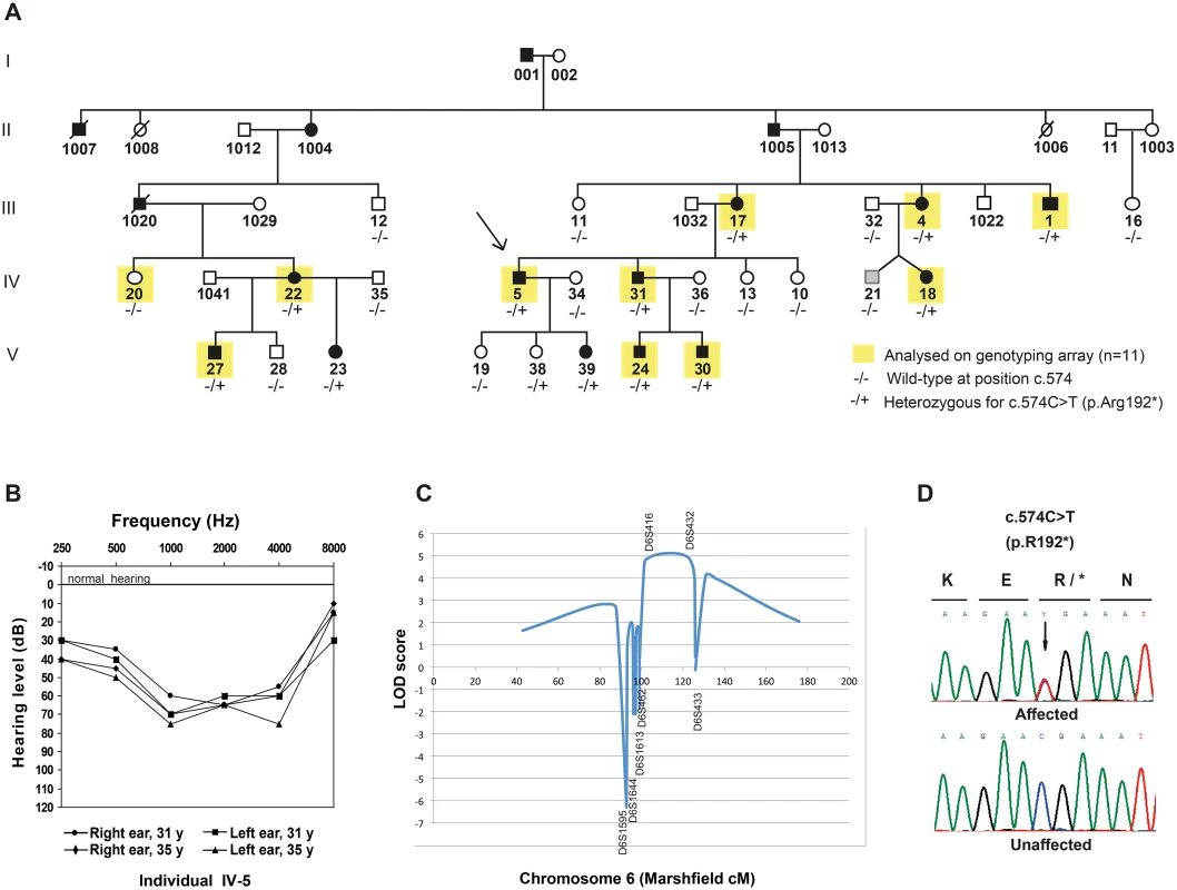 Pedigree, audiograms and linkage peak for a novel locus for dominant inherited nonsyndromic hearing impairment (NSHI).