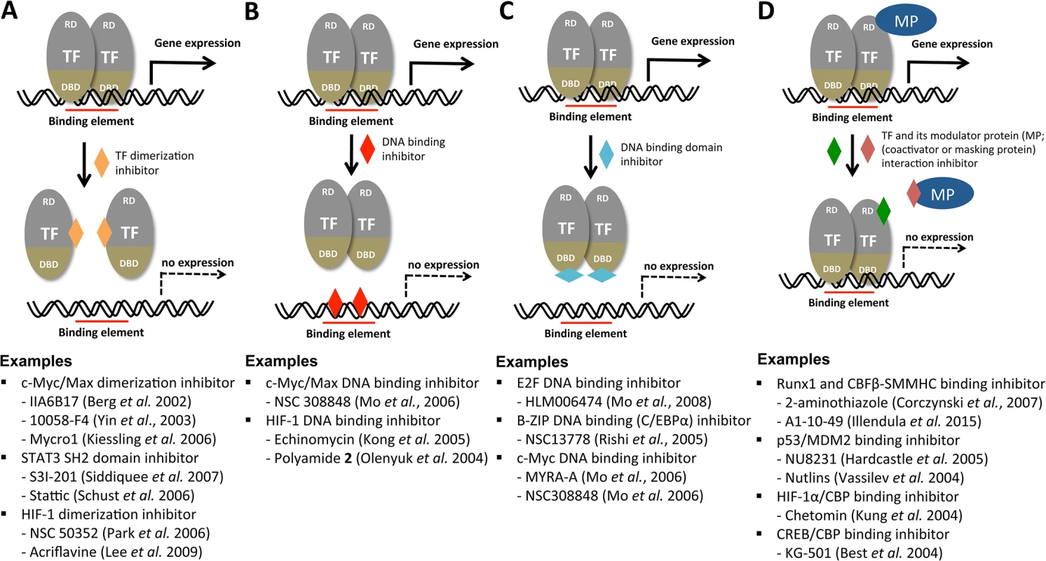 Potential mechanisms for the chemical modulation of transcription factors.