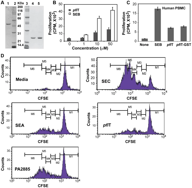 Soluble recombinant <i>pfi</i>T and PA2885 stimulate the activation of lymphocytes.