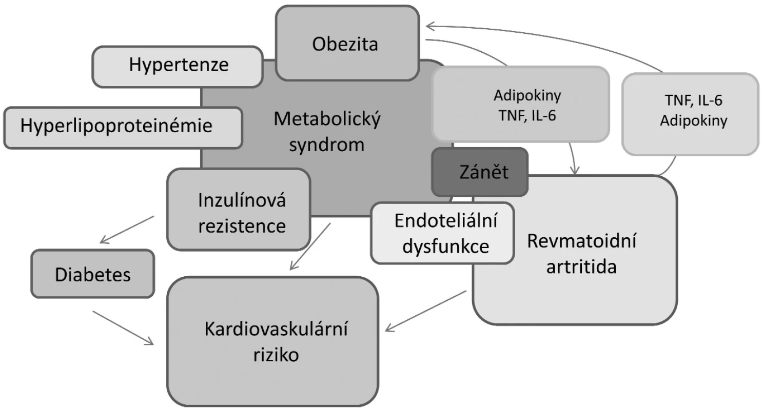 Vzájemný vztah a interakce mezi obezitou, kardiovaskulárními chorobami a revmatoidní artritidou (upraveno podle ref. 29).