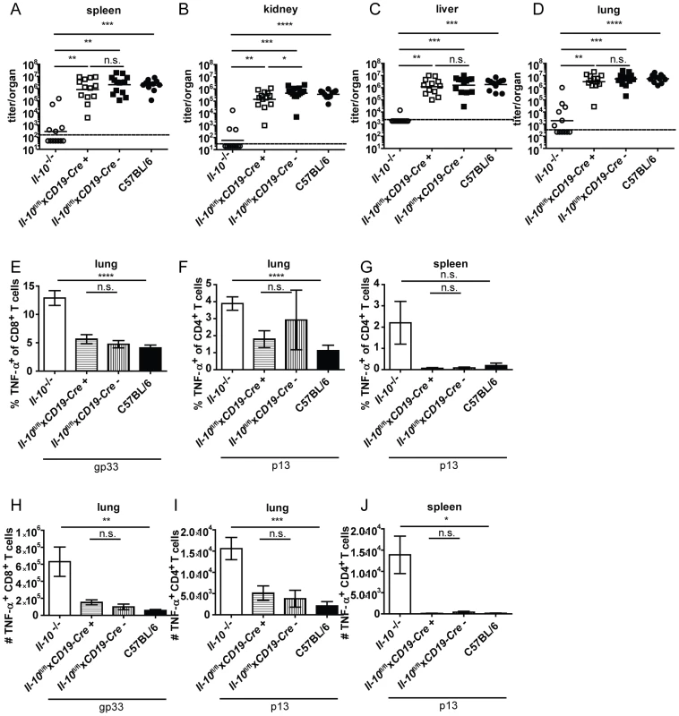 B cell derived IL-10 does not promote viral chronicity and T cell exhaustion.