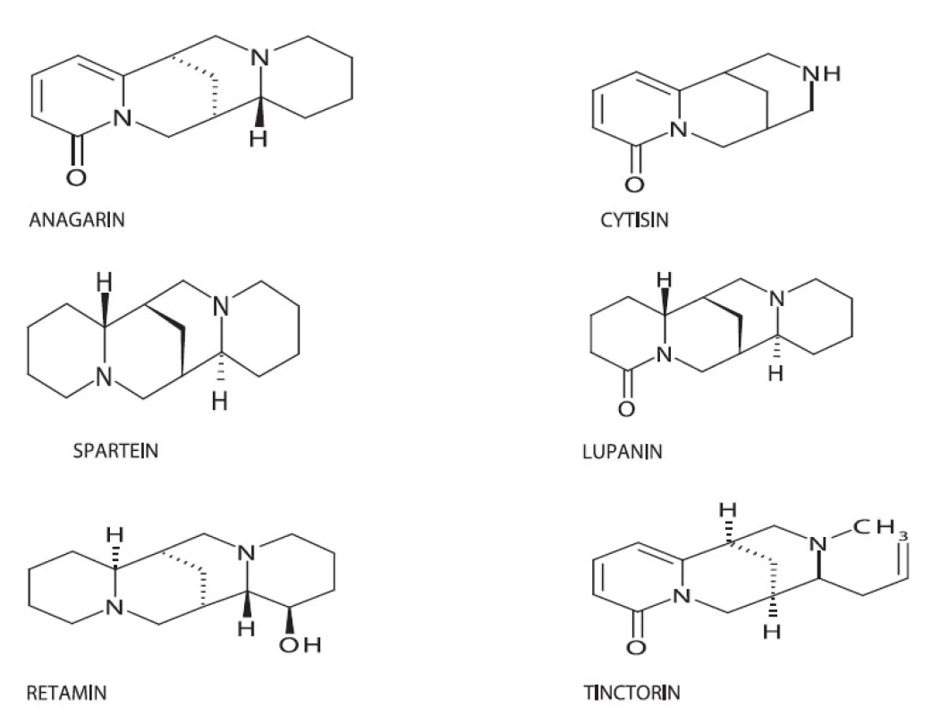 Chemická struktura některých chinolidizinových alkaloidů