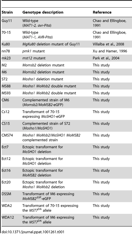 Wild-type and mutant strains of &lt;i&gt;Magnaporthe oryzae&lt;/i&gt; used in this study.