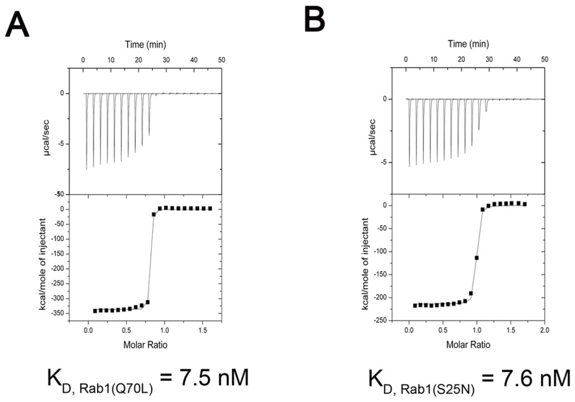 Measurement of binding affinity between LidA and GTP-bound or GDP-bound Rab1 by ITC.
