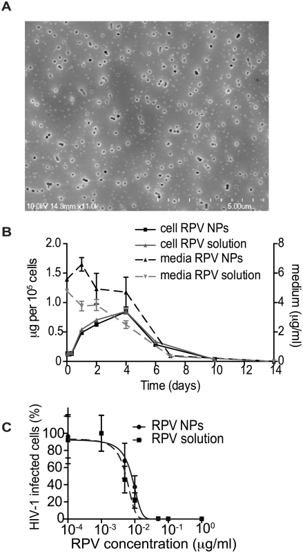 <i>In vitro</i> characterization of PLGA/RPV NPs in thermosensitive gel.