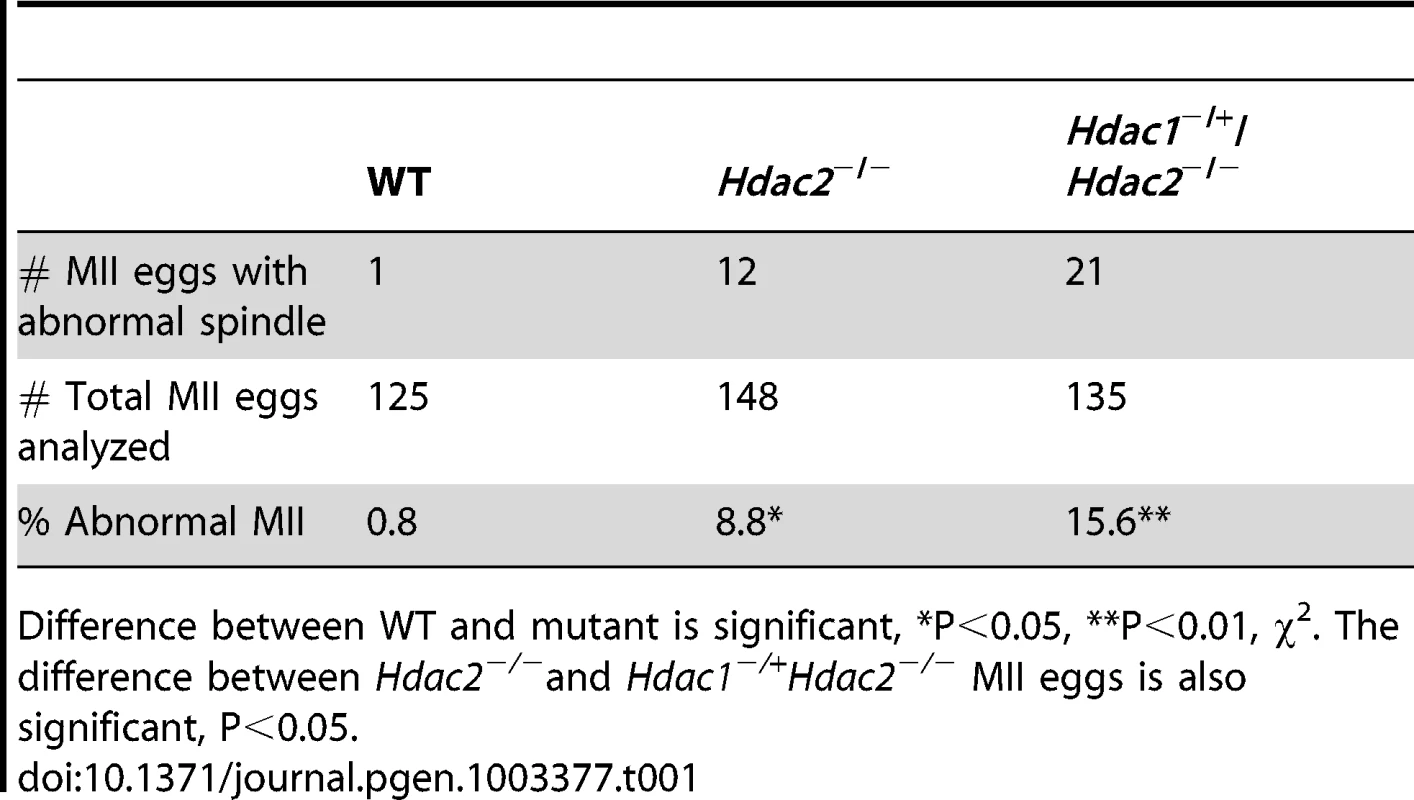 Incidence of abnormal spindles in <i>Hdac</i> mutant MII eggs.