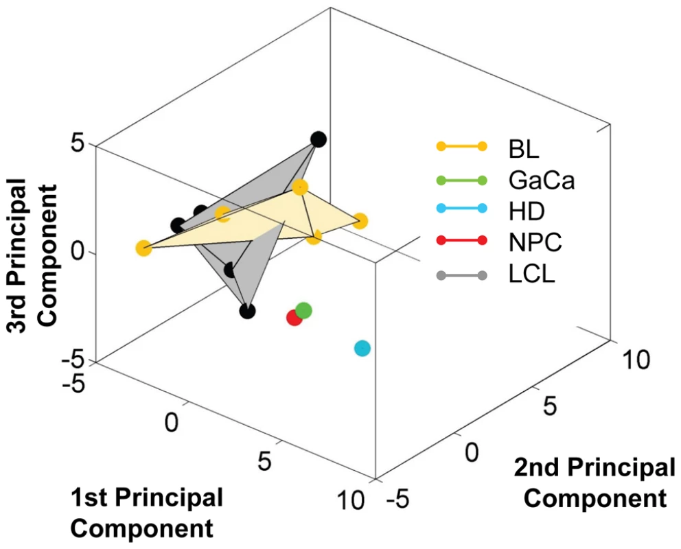 Unlike BL biopsies, the miRNA expression profile for BL derived cell lines is indistinguishable from LCL by principal component analysis.