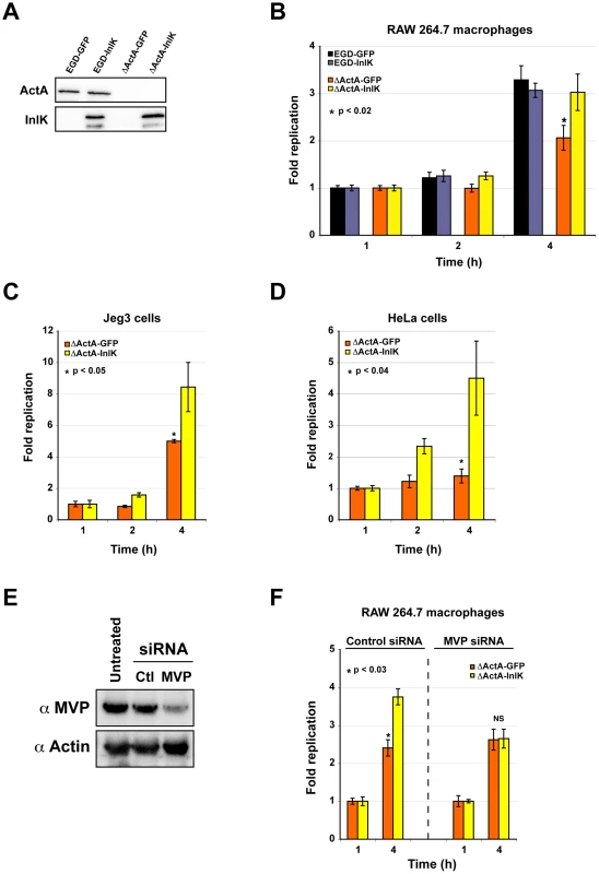 MVP-dependent escape from autophagy leads to increased <i>Listeria</i> survival.