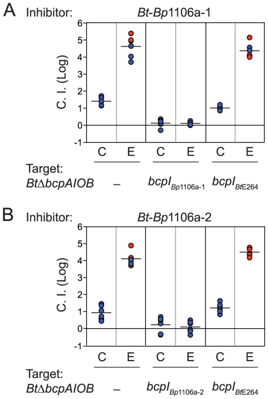 <i>Bt</i>-<i>Bp</i>1106a-1 and <i>Bt</i>-<i>Bp</i>1106a-2 mediated interbacterial competition.