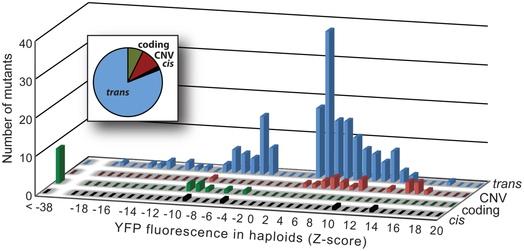 Effects on YFP fluorescence in haploid cells differ among mutational classes.