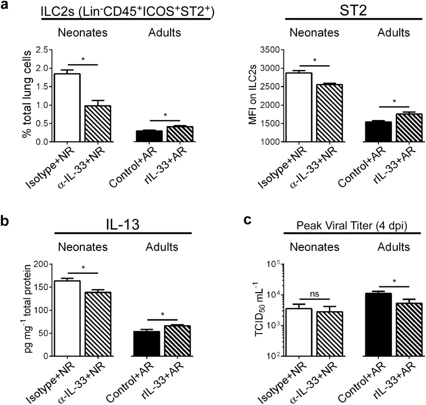 Modulation of IL-33 levels during primary RSV infection alters ILC2 numbers and IL-13 production at 1 dpi.